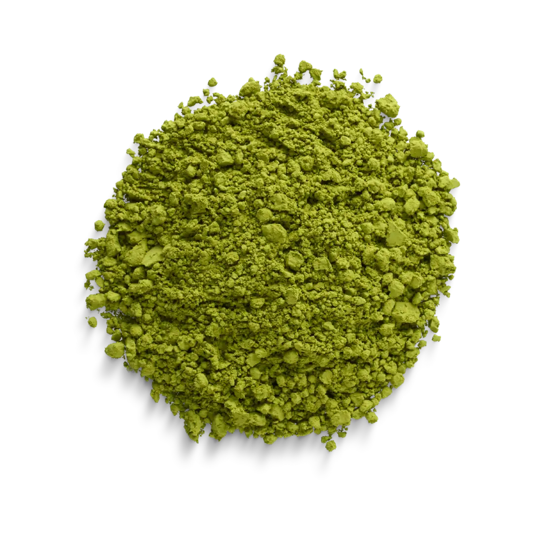 Calm energy. Bold flavour. A ritual that moves with you. <em>Now, what is Matcha?</em>